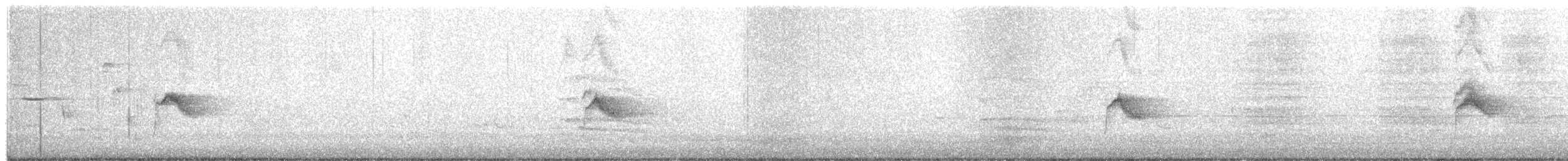 Gray-cheeked Thrush - ML636173744