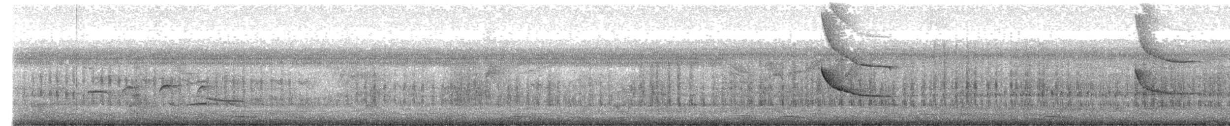 Rose-throated Becard - ML636174013