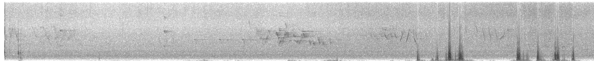 Mourning Warbler - ML636174132