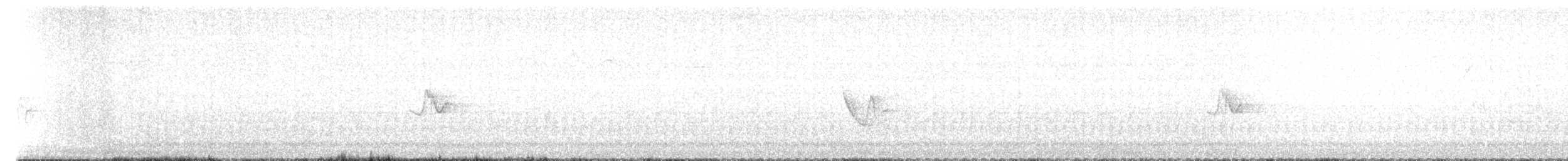 Blue-headed Vireo - ML636175709