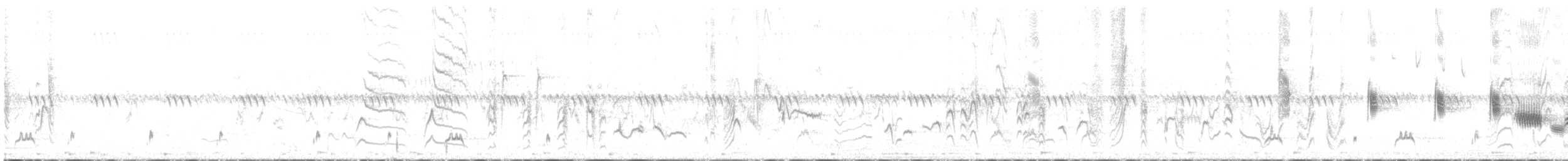sedmihlásek hajní - ML636175810