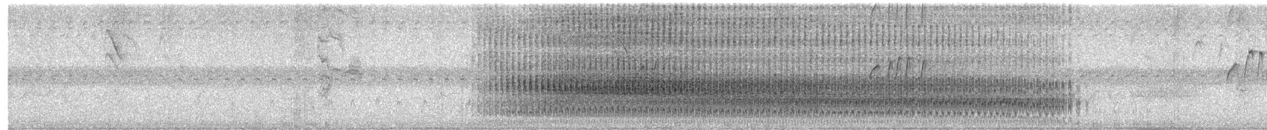 White-throated Crake - ML636176910