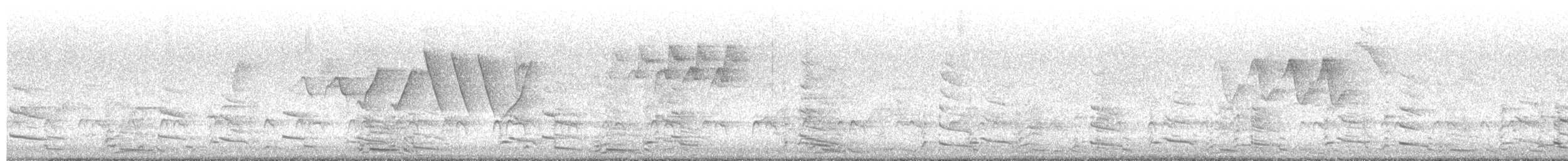 American Herring Gull - ML636178488