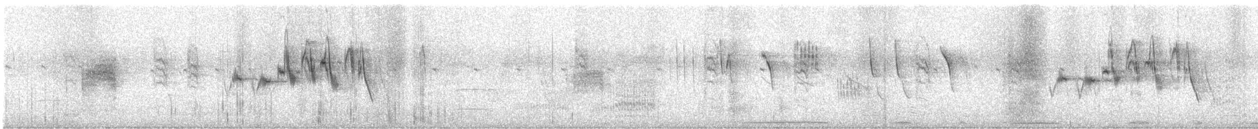 Sporophile à col double - ML636183252
