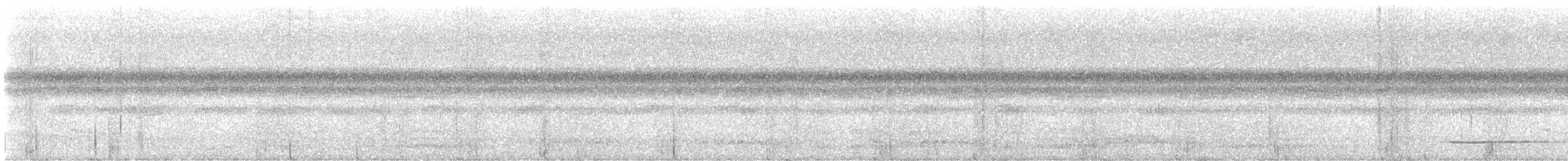 Thicket Tinamou - ML636186509