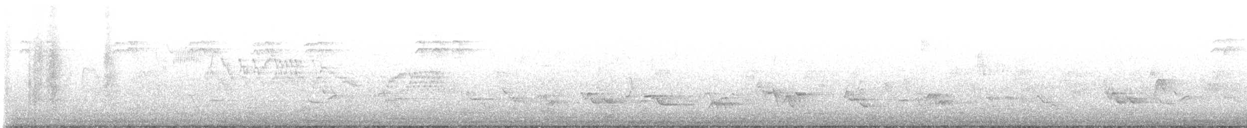 Bicknell's Thrush - ML636188161
