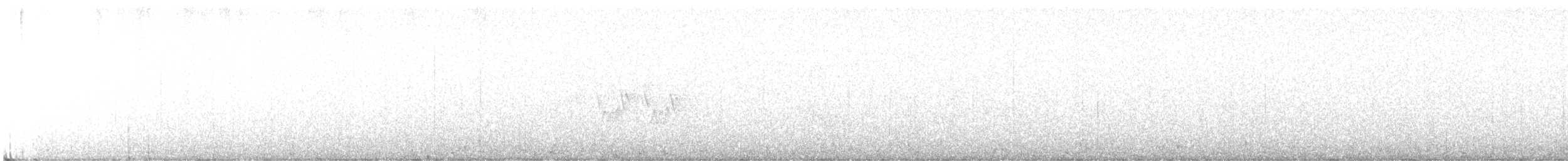 Mourning Warbler - ML636188388