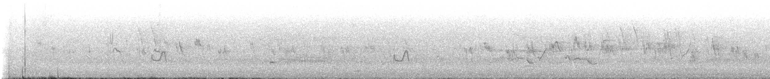 Empidonax sp. - ML636188984
