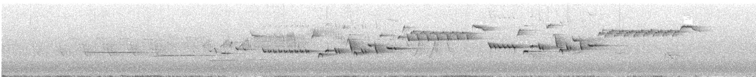 フユミソサザイ - ML636189807