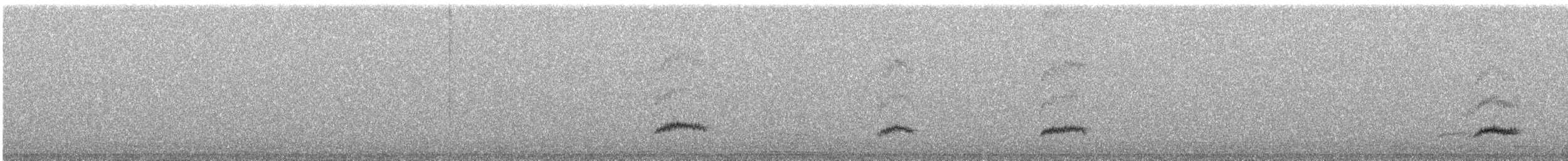 hvitisseelenia - ML636191458