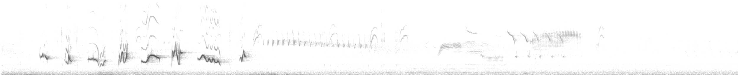 svarthodetykknebb - ML636191810
