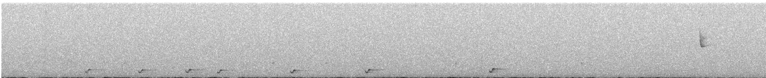 Moustached Turca - ML636192432