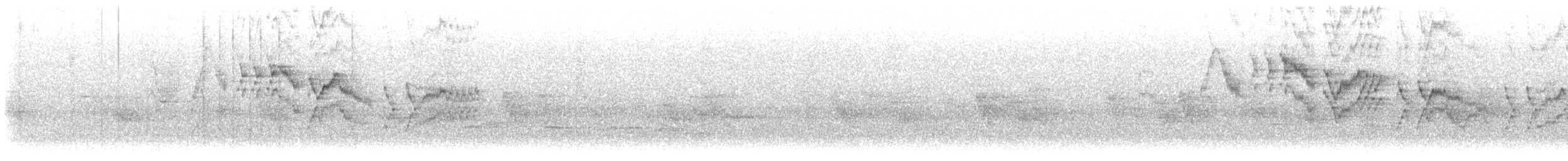 Bicknell's Thrush - ML636193401