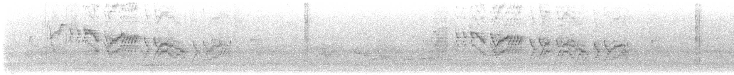 Bicknell's Thrush - ML636193402