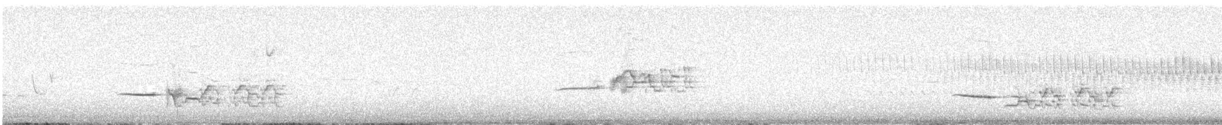 Hermit Thrush - ML636196743