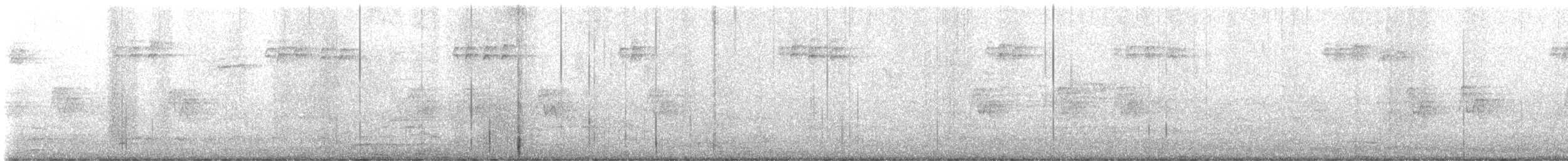 Bicknell's Thrush - ML636196804