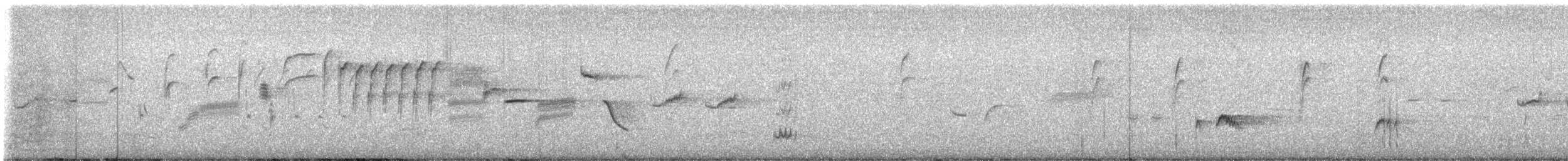 Bewick's Wren - ML636197695