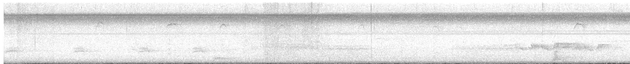 Great Egret - ML636203054