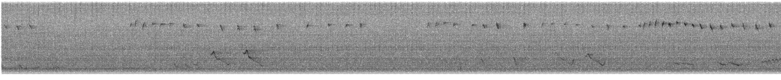 Bruant de Cassin - ML636206000