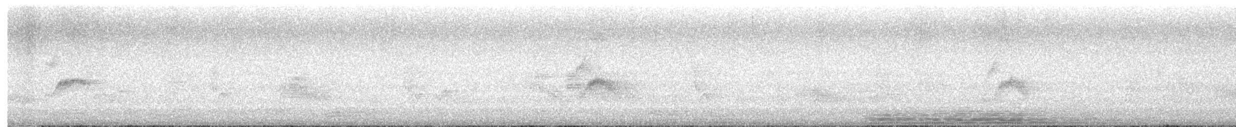 Bicknell's Thrush - ML636207564