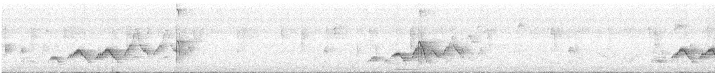 Swainson's Thrush - ML636208016