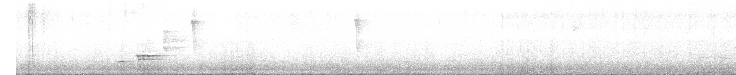 Wood Thrush - ML636210254