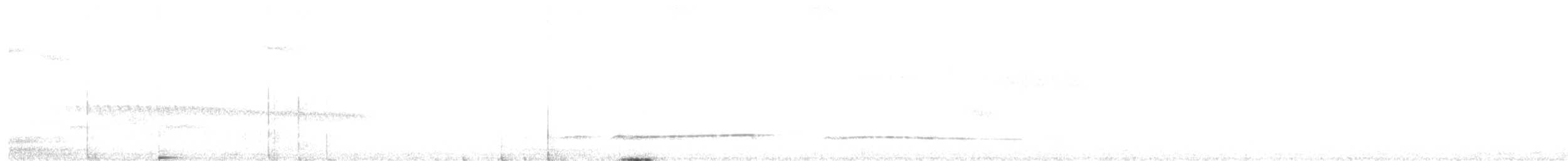 Western Striolated-Puffbird - ML636211079