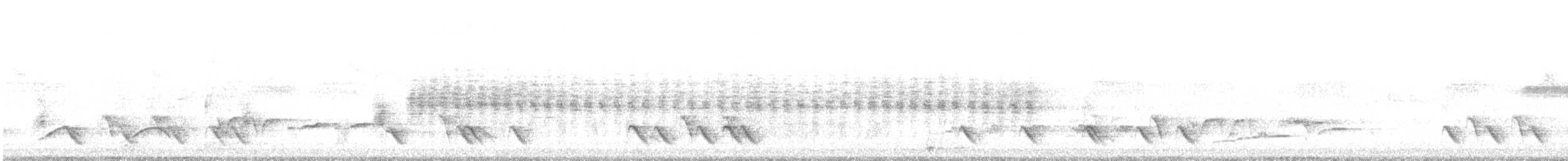 Kaplan Örümcekkuşu - ML636211411