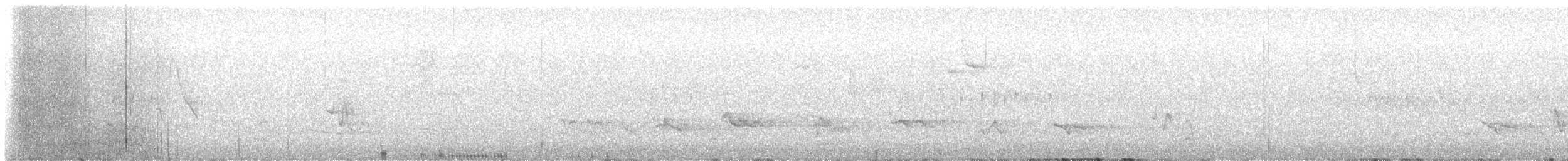 Cassin's Finch - ML636214809