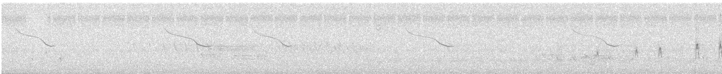Sarcelle d'hiver - ML636216923