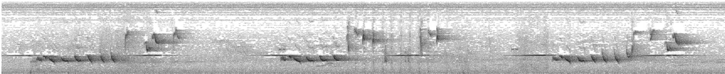 Abyssinian Ground-Thrush