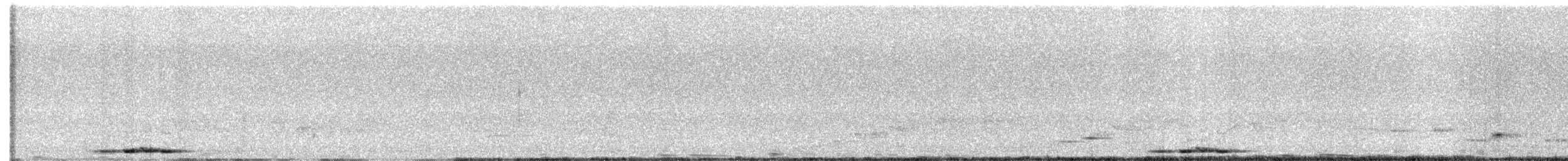 Large Scimitar-Babbler - ML636217736