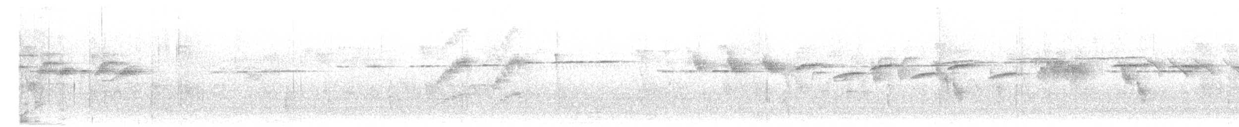 White-gorgeted Flycatcher - ML636217740