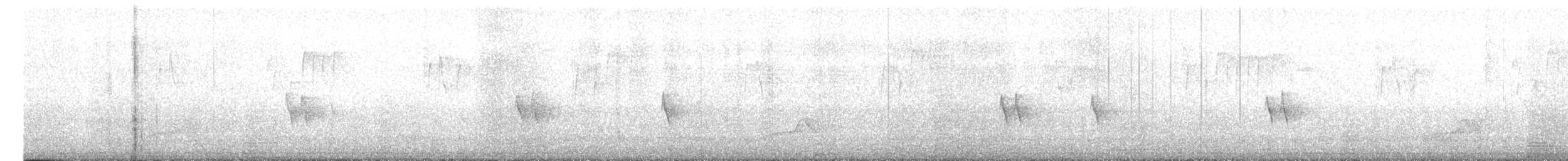 Phylloscopus sp. - ML636218643