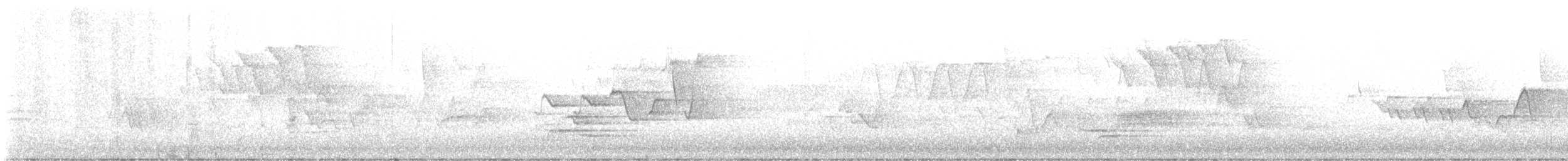 hetteparula - ML636221161