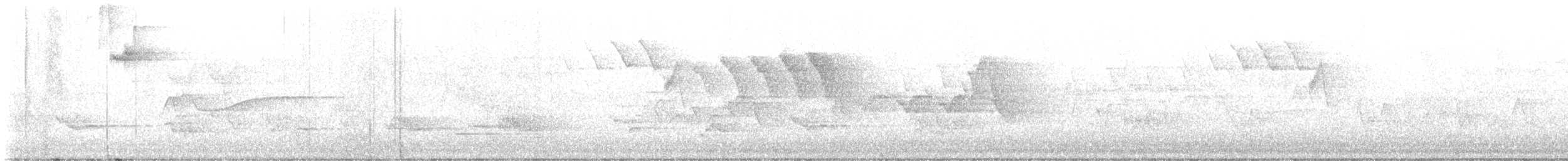 kentuckyparula - ML636221215