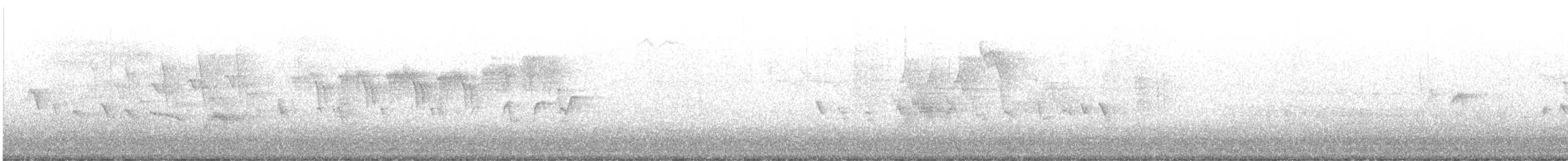 Northern Parula - ML636221792