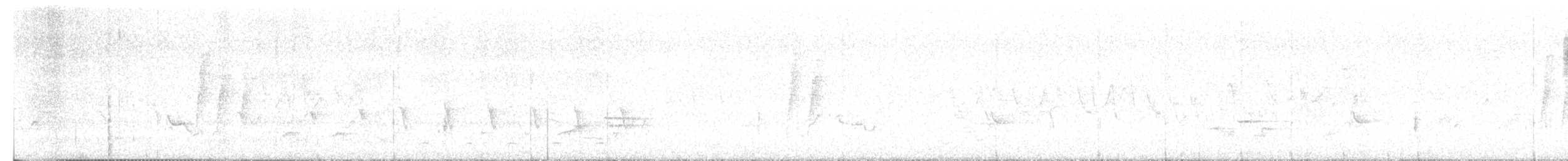 Wood Thrush - ML636222456