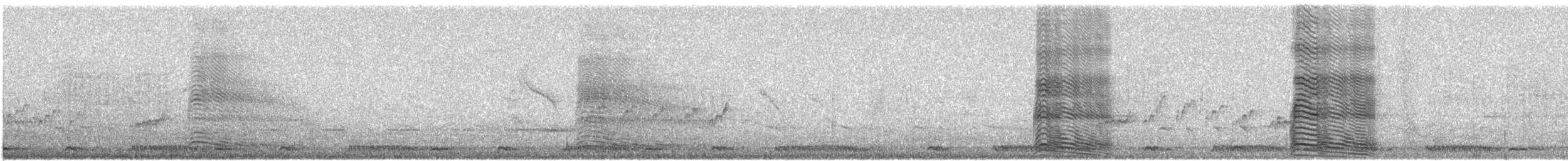 Gray Go-away-bird - ML636222484