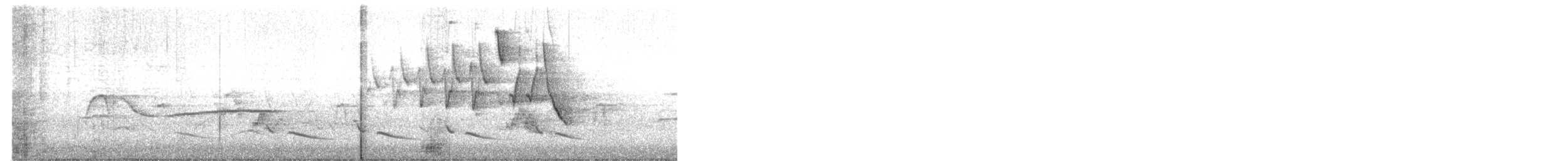 Chestnut-sided Warbler - ML636223442