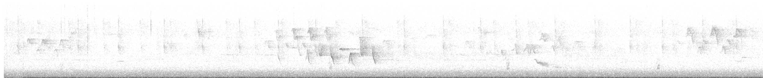 Connecticut Warbler - ML636223512