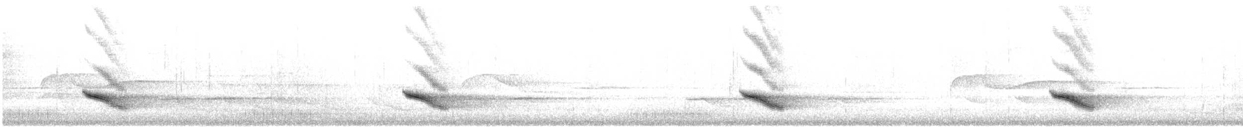 Veery - ML636225898