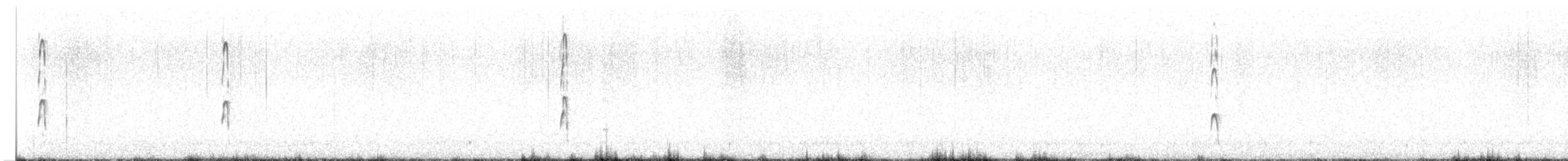 Long-billed Dowitcher - ML636226404