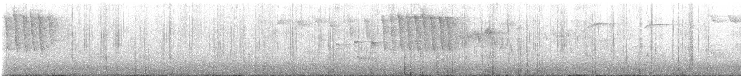 Tennessee Warbler - ML636226461
