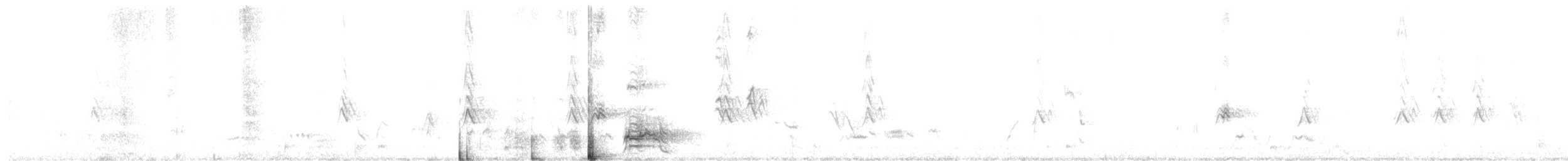 Scaled Quail - ML636227442