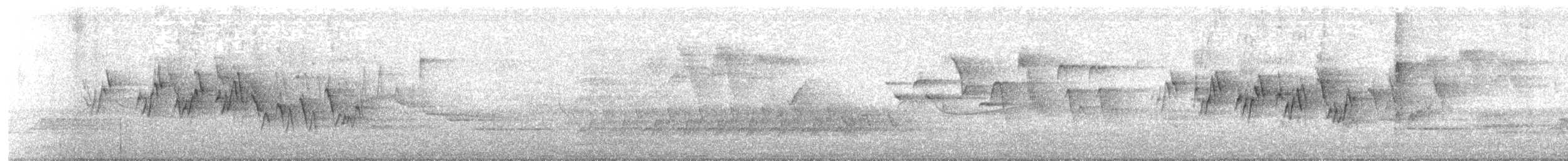 Mourning Warbler - ML636230250