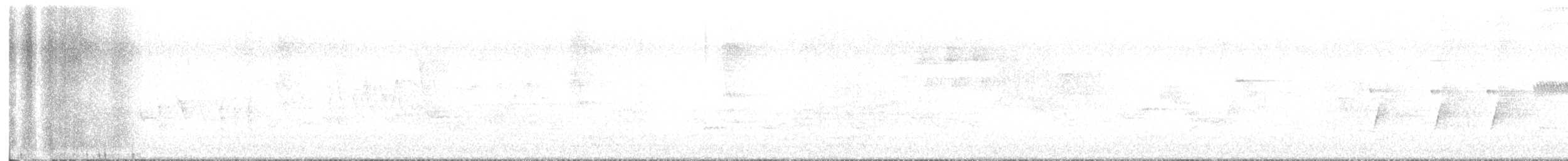 Moucherolle des aulnes - ML636230946