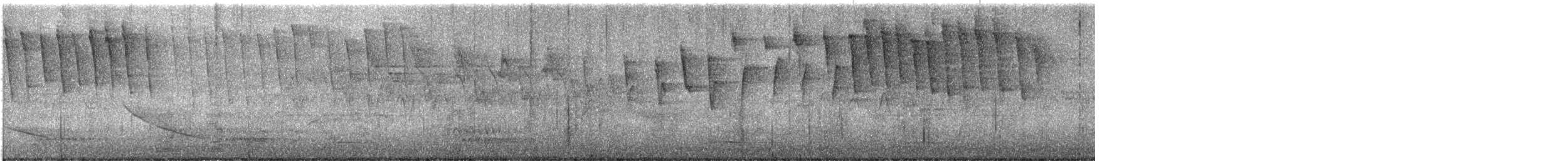 Tennessee Warbler - ML636231246
