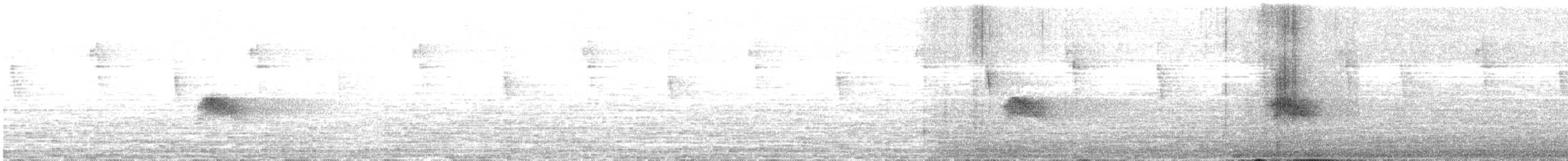 Black-billed Nightingale-Thrush - ML636231513