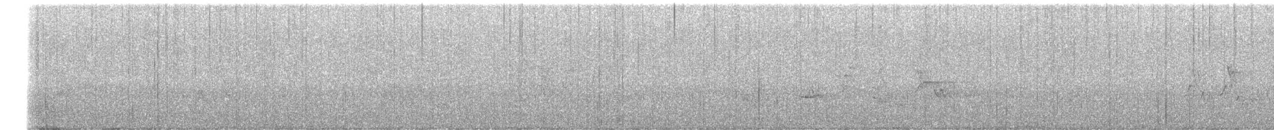 Mourning Warbler - ML636234396